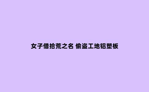 女子借拾荒之名 偷盗工地铝塑板